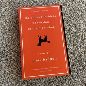 The Curious Incident of the Dog in the Night-time